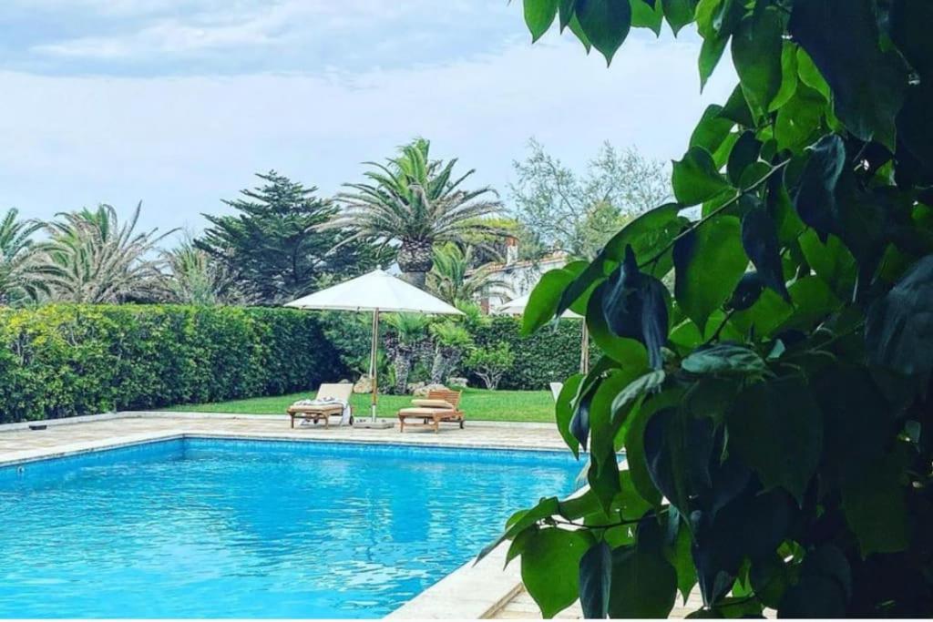 La Calma Espectacular Villa Con Jardin Y Piscina En Menorca S'Algar Eksteriør bilde